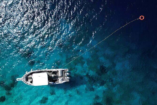 Private Scuba Diving Charter in Bonaire Marine Park - Why This Private Charter Stands Out