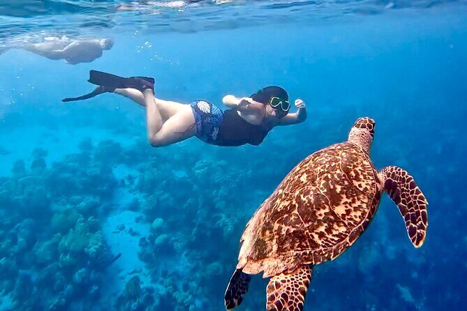 Private Scuba Diving Charter in Bonaire Marine Park - Who Will Love This Tour?