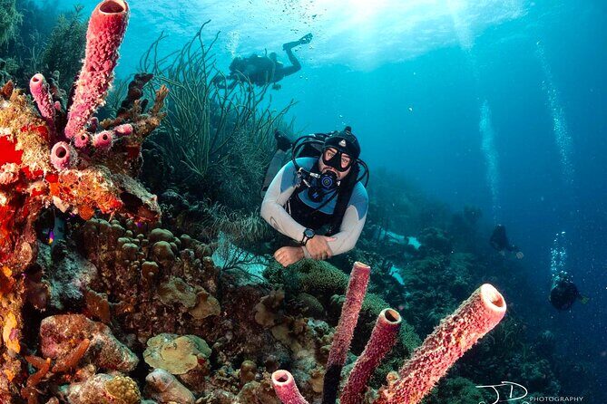 Private Scuba Diving Charter in Bonaire Marine Park - Final Thoughts