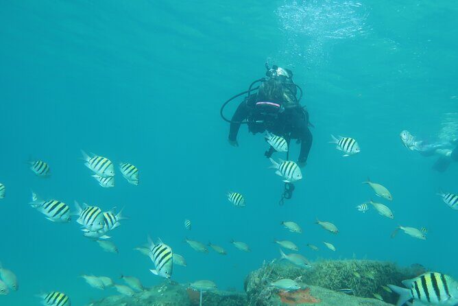 Private Scuba Diving Expert-Led Excursion Training with Tour - Practical Tips for Future Divers