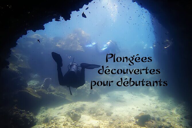 Private Scuba Diving Initiation with Licensed Guide - The Sum Up