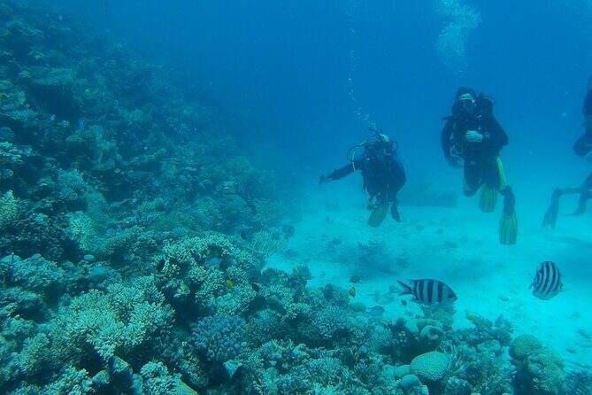 Private sea trip Hurghada - The Itinerary: What to Expect on Your Day Out