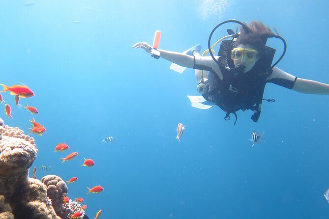 Private sea trip Hurghada - Authentic Experiences and Positive Feedback