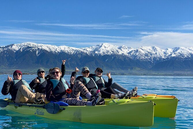 Private Seal Kayaking and Wildlife Tour in Kaikoura - An In-Depth Look at the Experience