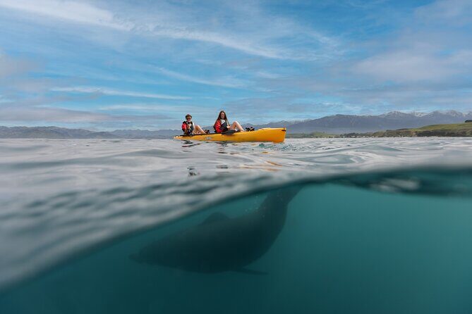 Private Seal Kayaking and Wildlife Tour in Kaikoura - Detailed Breakdown of the Itinerary