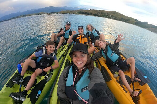 Private Seal Kayaking and Wildlife Tour in Kaikoura - What You Get and How It Adds Up