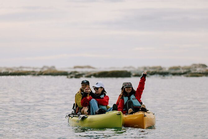 Private Seal Kayaking and Wildlife Tour in Kaikoura - Who Should Consider This Tour?