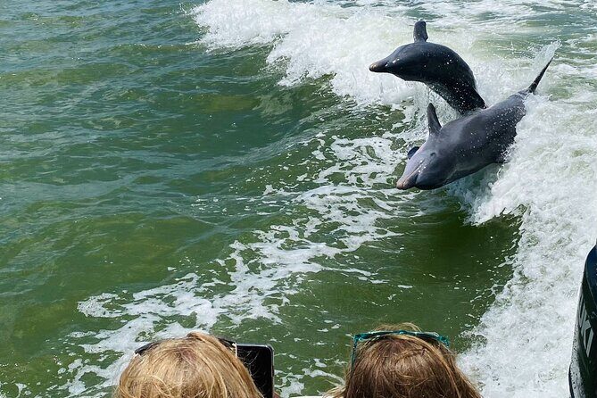 Private Shelling and Dolphin Excursion - An In-Depth Look at the Tour