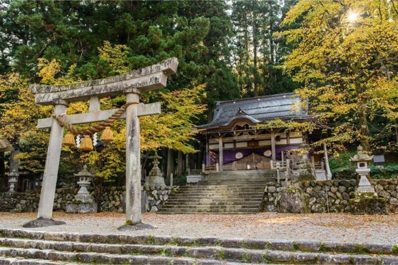 Private Shirakawago & Takayama Tour with Pickup and Drop-off - Lunch: Tasting Regional Specialties