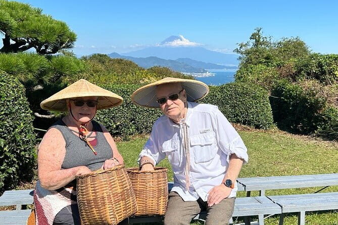 Private Shizuoka Tour from Shizuoka Station / Sedan Taxi - Return to Shizuoka Station