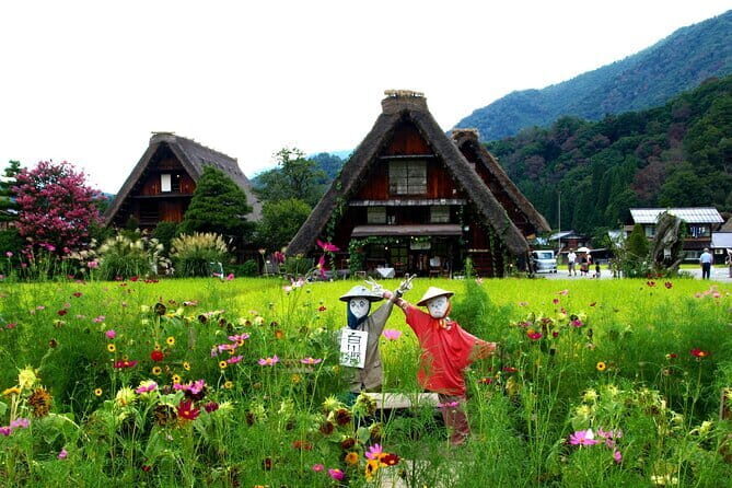 Private Shizuoka Tour from Shizuoka Station / Sedan Taxi - What Travelers Say & Why It Matters