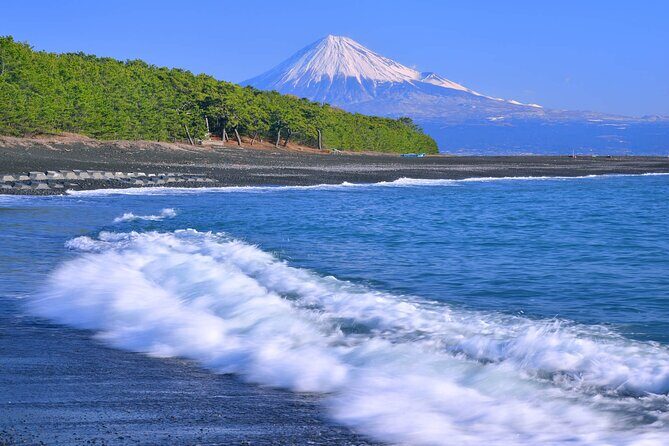 Private Shizuoka Tour from Shizuoka Station / Van Taxi - Who Will Love This Tour?