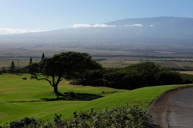 Private Shore Excursion: Best Highlights of Maui - FAQs
