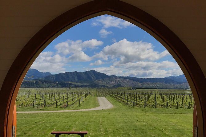 Private Shore Excursion: Explore Marlborough from Picton - Final thoughts: Is this tour worth it?