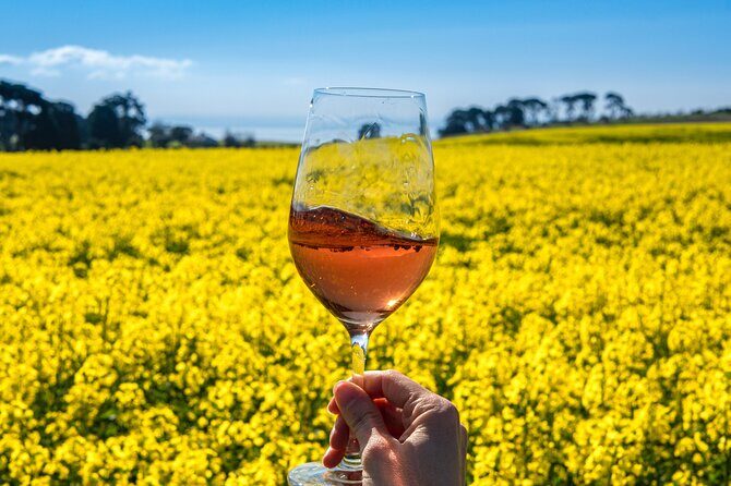 Private Shore Tour: Bellarine Peninsula Wine Experience - Key Points