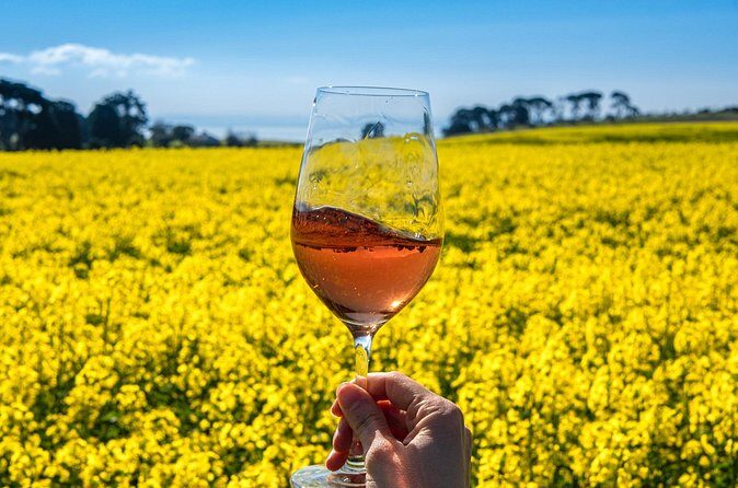 Private Shore Tour: Bellarine Peninsula Wine Experience - Who Will Love This Tour?