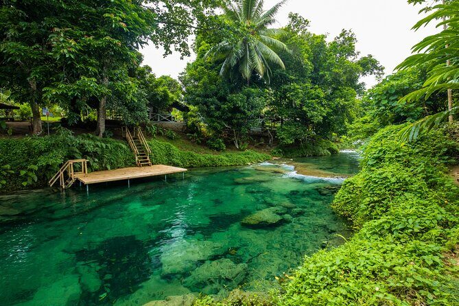 Private Shore Tour: Explore, Discover & Indulge in Port Vila - Analyzing the Price and Overall Value