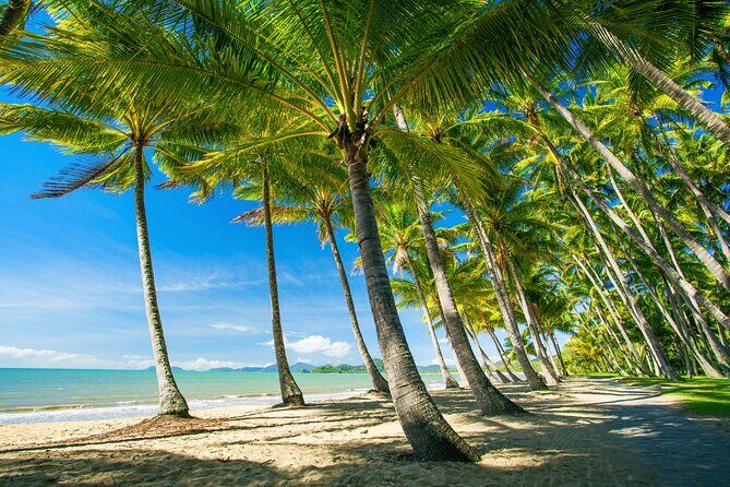 Private Shore Tour: Kuranda Village & Palm Cove from Port Douglas - Key Points