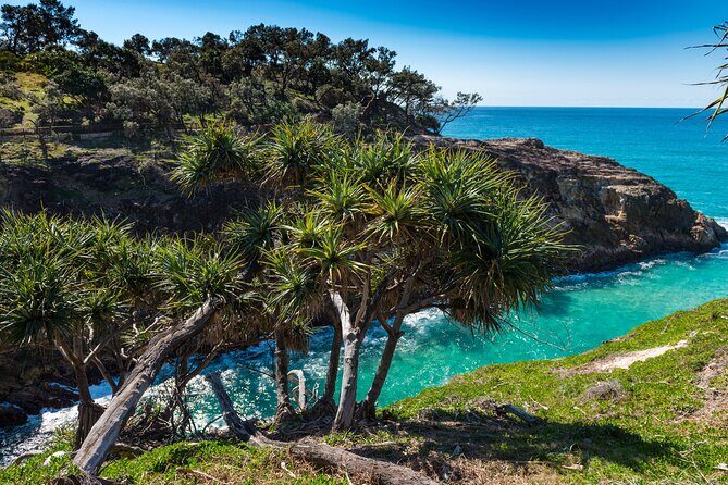 Private Shore Tour: North Stradbroke Island from Brisbane - Final Thoughts
