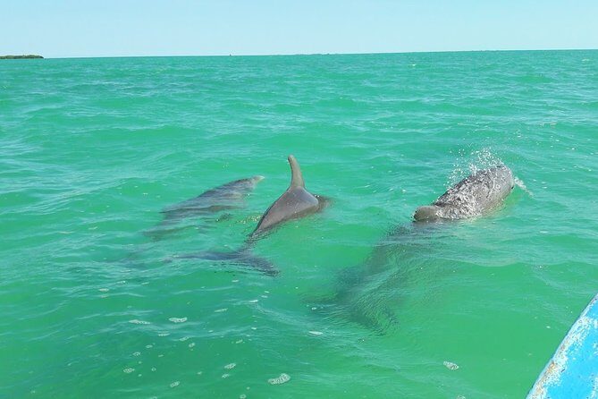 Private Sian Kaan Biosphere Tour - An In-Depth Look at the Tour Experience