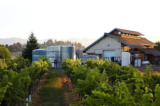 Private Sidecar Winery Tour through San Luis Obispo - Authentic Insights from Participants