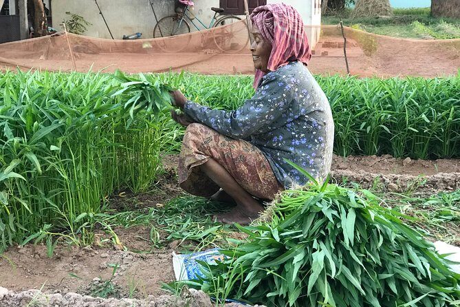 Private Siem Reap Countryside Tour by Jeep with Local Food Experience - Frequently Asked Questions (FAQs)