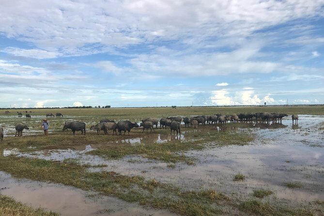 Private Siem Reap Countryside Tour by Jeep with Local Food Experience - Final Thoughts