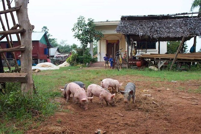 Private Siem Reap Quad Bike Adventure - The Sum Up
