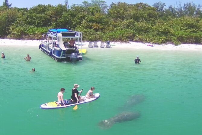 Private Siesta Funship Adventure/Dolphin Cruise Sandbar Stops - Key Points