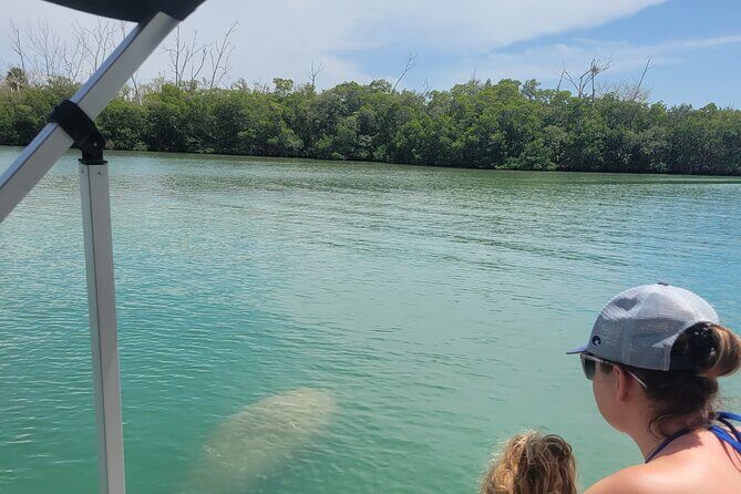 Private Siesta Funship Adventure/Dolphin Cruise Sandbar Stops - Who Should Consider This Tour?