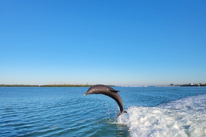 Private Siesta Funship Adventure/Dolphin Cruise Sandbar Stops - The Sum Up