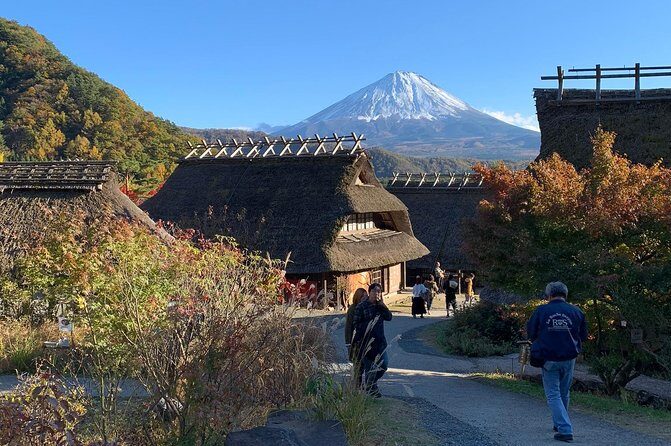 Private Sightseeing to Mt. Fuji and Hakone GREEN NUMBER PLATES - A Detailed Look at the Tour Experience