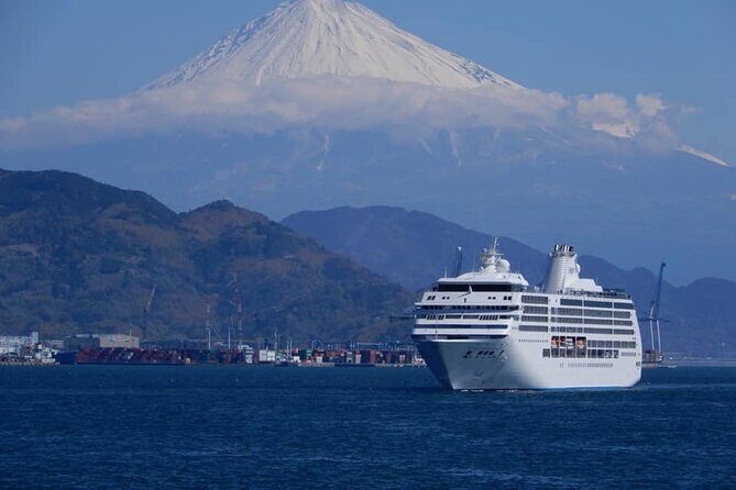 Private Sightseeing Tour from Shimizu Port /Small Bus - What Makes This Tour Stand Out?