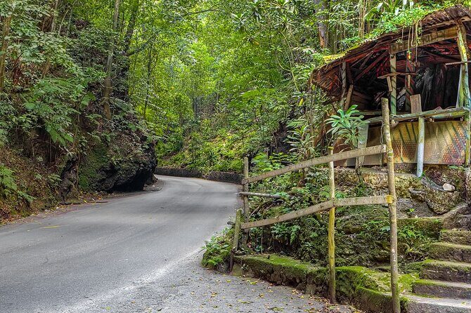 Private Sightseeing Tour in & Around Ocho Rios - Authenticity and Cultural Experience
