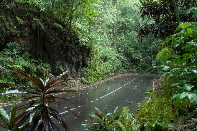 Private Sightseeing Tour in & Around Ocho Rios - Final Thoughts: Is This Tour for You?