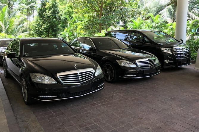 Private Singapore Arrival Transfer: Airport or Cruise Terminal to City - Key Points