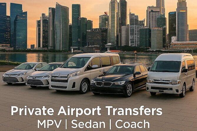 Private Singapore Arrival Transfer: Airport or Cruise Terminal to City - A Closer Look at the Experience