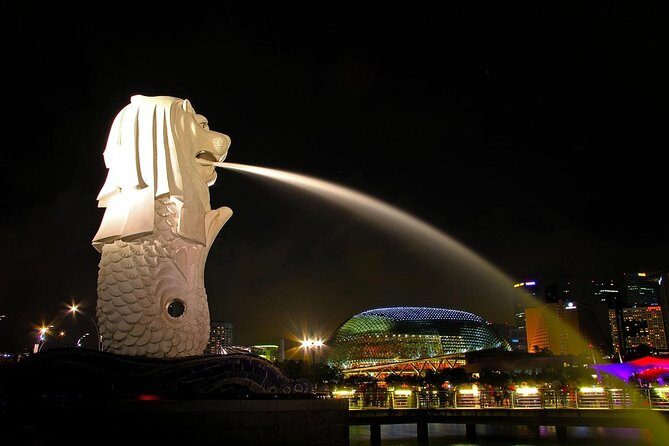 Private Singapore Customized Tour With Driver in small group - An In-Depth Look at What to Expect