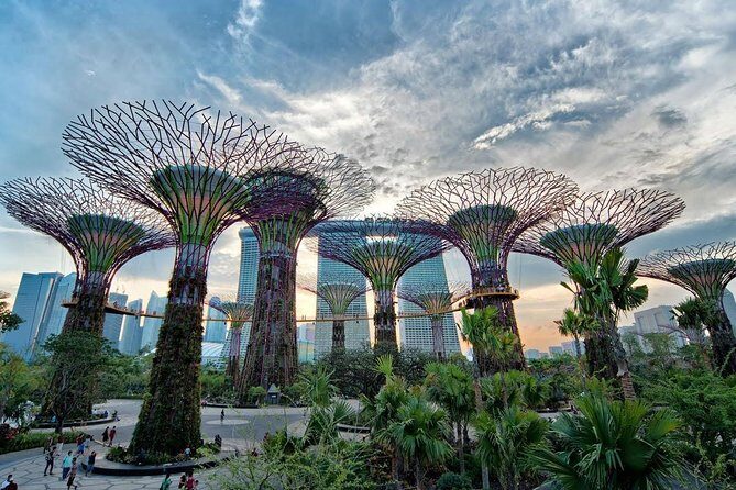 Private Singapore Night Tour with Gardens by the Bay&River Cruise - Starting the Evening with Comfort and Convenience