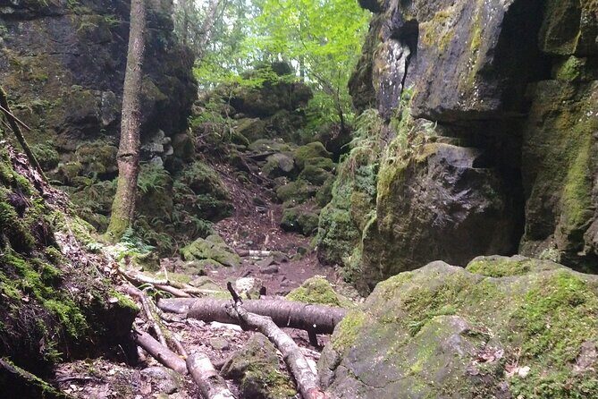 Private Singhampton Caves Hiking Tour, Collingwood/Blue Mountain - An In-Depth Look at the Singhampton Caves Hiking Tour