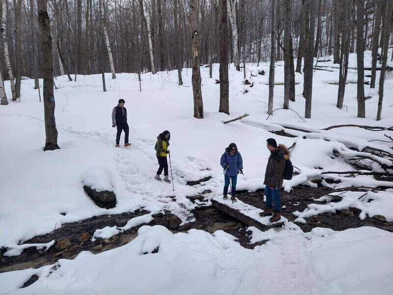 Private Singhampton Caves Snowshoe-Collingwood/Blue Mountain - Practical Tips for the Trip