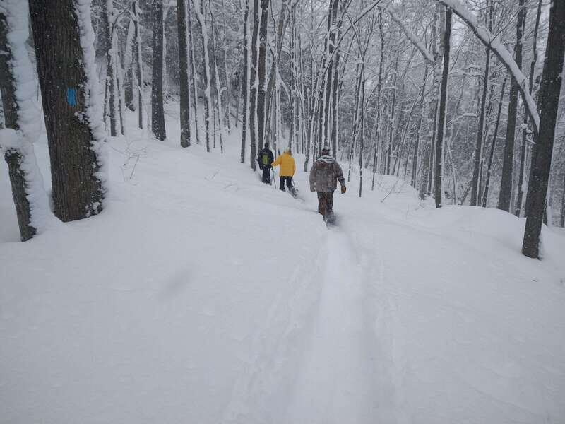 Private Singhampton Caves Snowshoe-Collingwood/Blue Mountain - Dining and Nearby Options