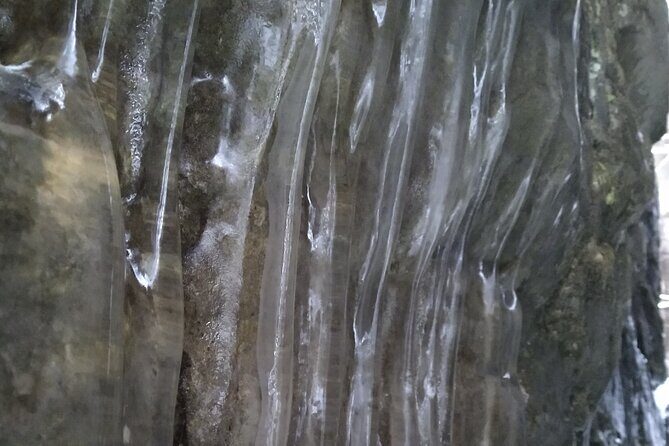 Private Singhampton Caves Snowshoe, Collingwood/Blue Mountain - Who Will Love This Tour