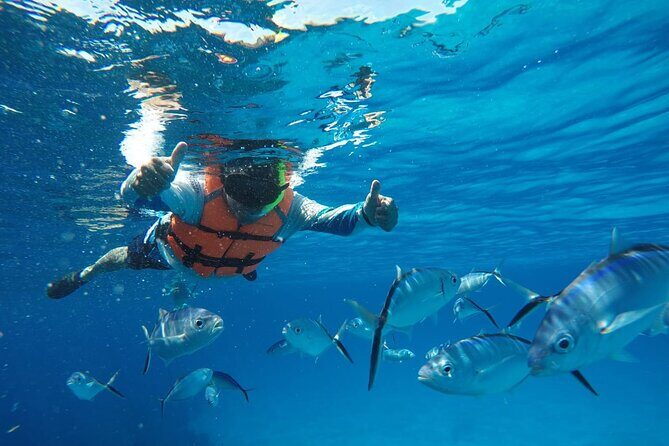 Private Sky Snorkeling Tour - Who Will Love This Tour?