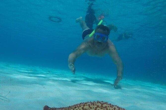 Private Sky Snorkeling Tour - The Sum Up