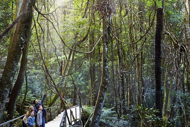 Private Small Group Tour in Blue Mountains - The Itinerary in Detail