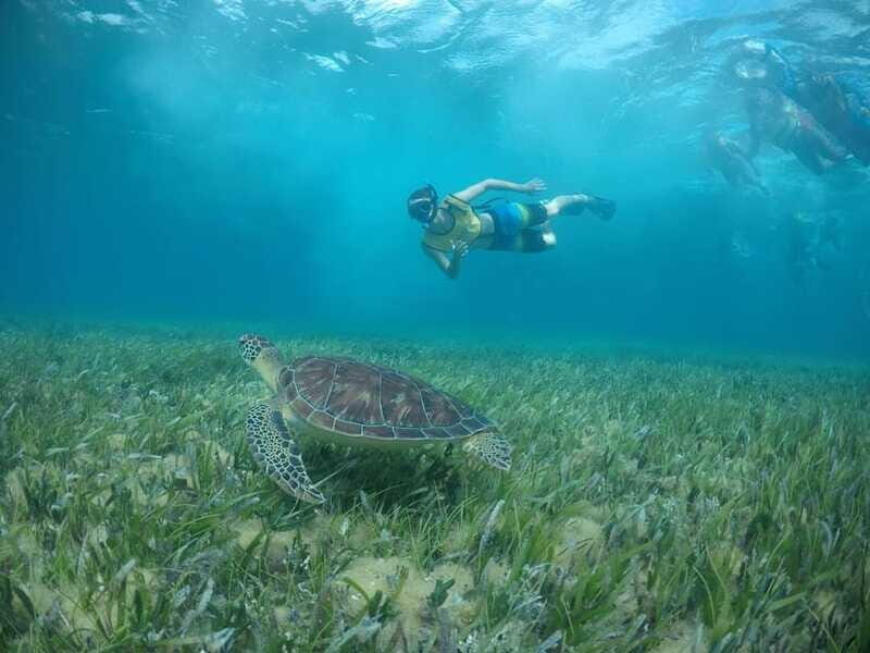Private SNORKEL AND ISLA MUJERES Tour for GROUPS & FAMILIES - Who Will Love This Tour?