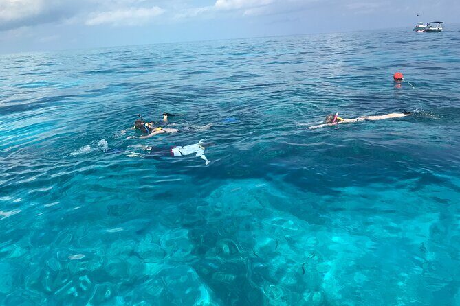 Private Snorkel to Key Largo Reef for up to 12 - INCLUDES GEAR! - Key Points