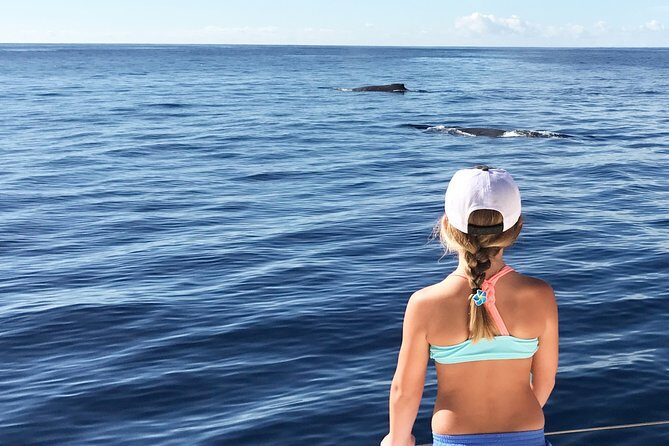 Private Snorkel Trip from Oahu on a Yacht - Frequently Asked Questions