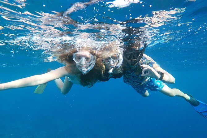 Private snorkel with 2 stops in Aruba - Eco-friendly! - Who Should Book This Tour?
